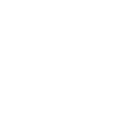 Designer Levers