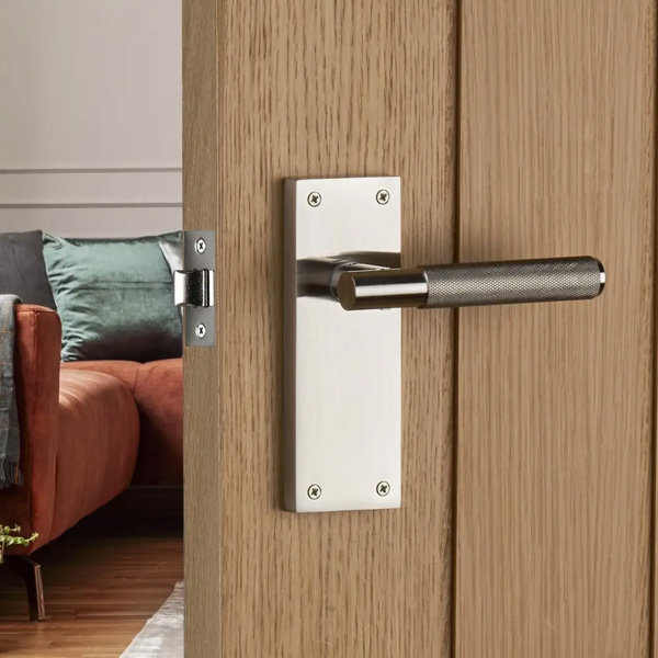 Modern door handles